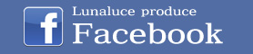 フェイスブック