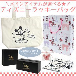 disney-bag2017