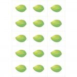 00000en021