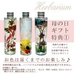 fla505hahana2025