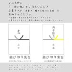 fla805hoyomaple