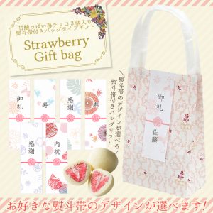 pb-icgiftbag