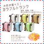 pb172trunkbox