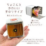 pb275taikobox