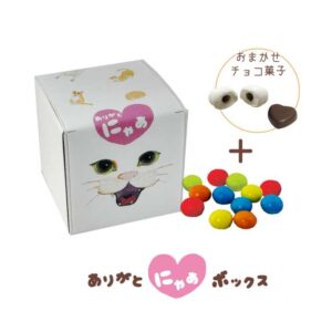 pb307nyanbox